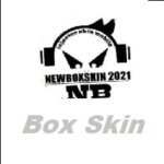 Box Skin