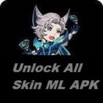 Unlock All Skin ML