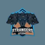 Stranger Team
