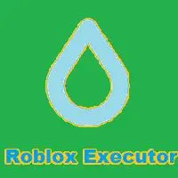 Roblox Executor