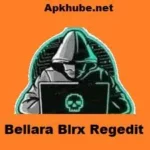 Bellara Blrx Regedit
