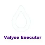 Valyse Executor