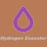 Hydrogen Executor