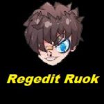 Regedit Ruok