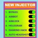 NEW INJECTOR FF